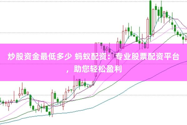 炒股资金最低多少 蚂蚁配资：专业股票配资平台，助您轻松盈利