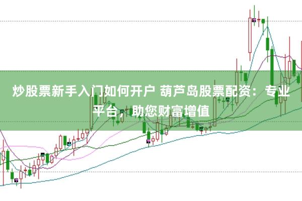 炒股票新手入门如何开户 葫芦岛股票配资：专业平台，助您财富增值