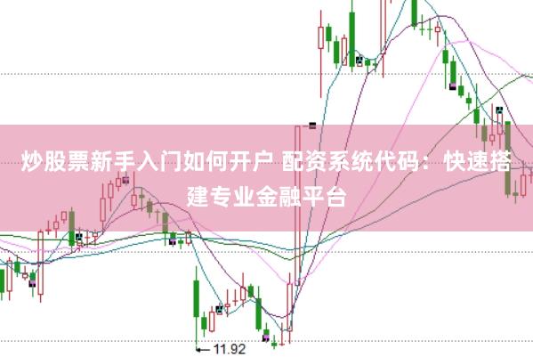 炒股票新手入门如何开户 配资系统代码：快速搭建专业金融平台