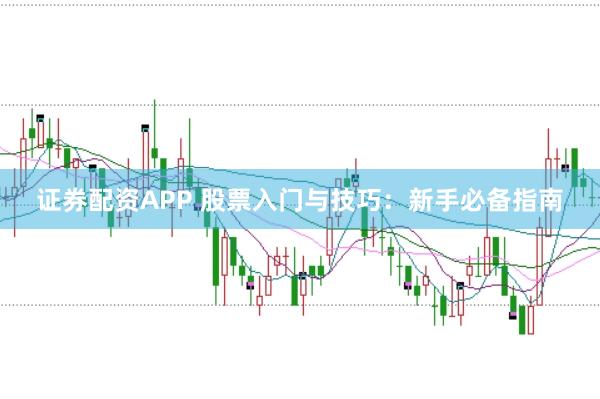 证券配资APP 股票入门与技巧：新手必备指南