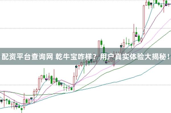 配资平台查询网 乾牛宝咋样？用户真实体验大揭秘！