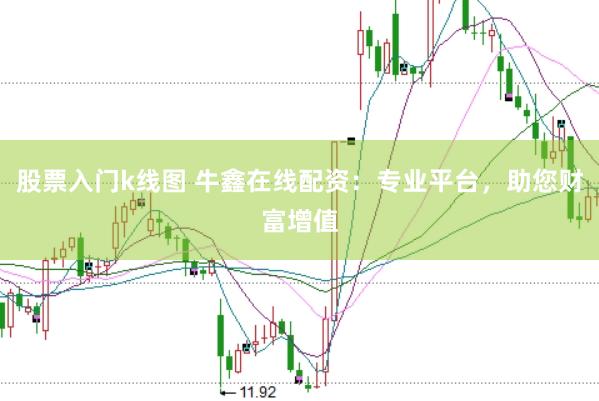 股票入门k线图 牛鑫在线配资：专业平台，助您财富增值