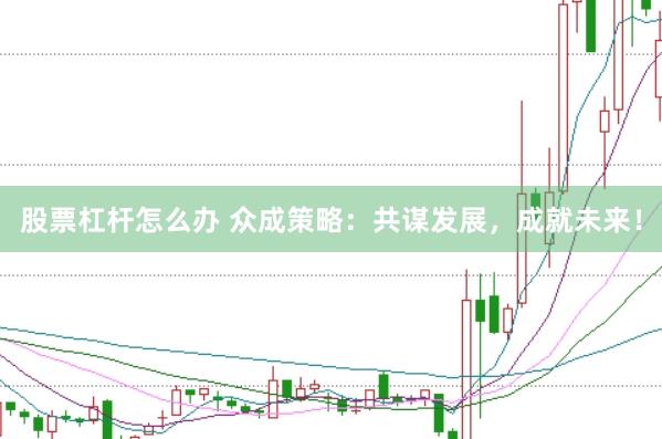 股票杠杆怎么办 众成策略：共谋发展，成就未来！