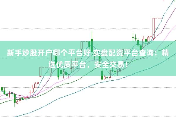 新手炒股开户哪个平台好 实盘配资平台查询：精选优质平台，安全交易！