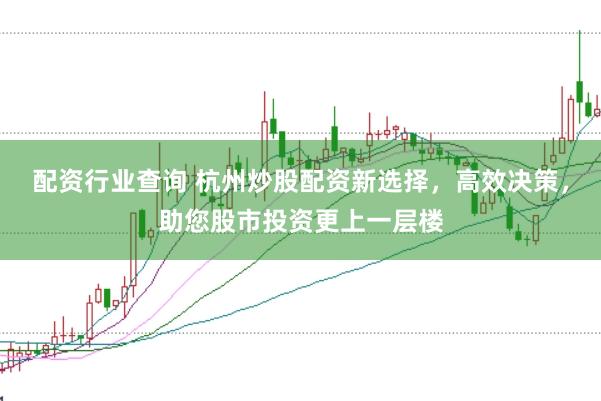 配资行业查询 杭州炒股配资新选择，高效决策，助您股市投资更上一层楼