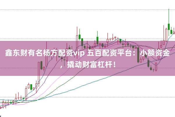 鑫东财有名杨方配资vip 五百配资平台：小额资金，撬动财富杠杆！