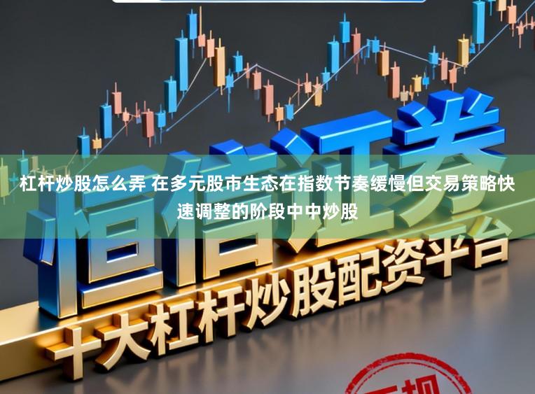 杠杆炒股怎么弄 在多元股市生态在指数节奏缓慢但交易策略快速调整的阶段中中炒股