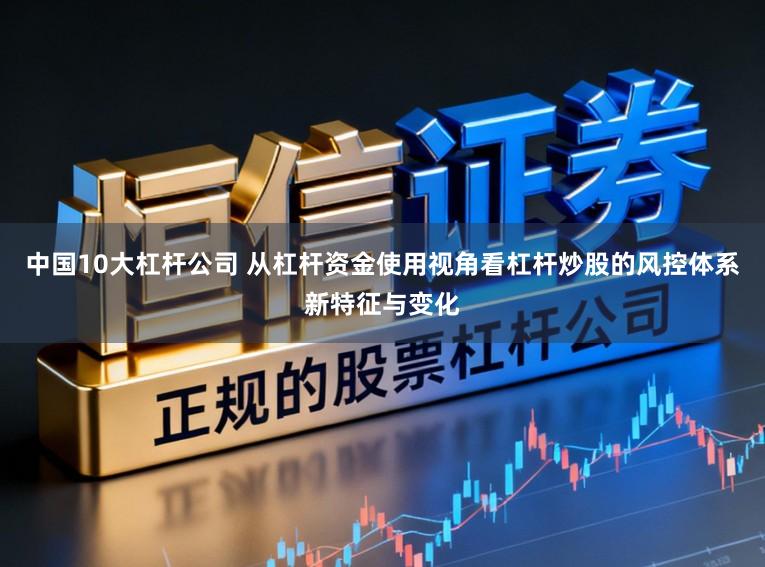 中国10大杠杆公司 从杠杆资金使用视角看杠杆炒股的风控体系新特征与变化