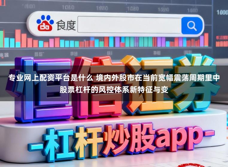 专业网上配资平台是什么 境内外股市在当前宽幅震荡周期里中股票杠杆的风控体系新特征与变